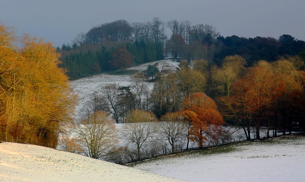 Near Mickleham Donald Macauley Flickr