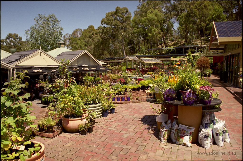 Beasley's Nursery & Teahouse Beasley's Nursery in the Melb… Flickr