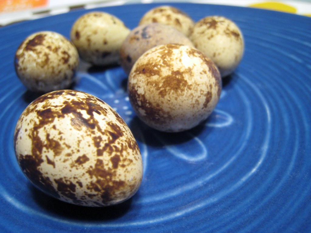 Quail Eggs Quail eggs, at William Jones Flickr