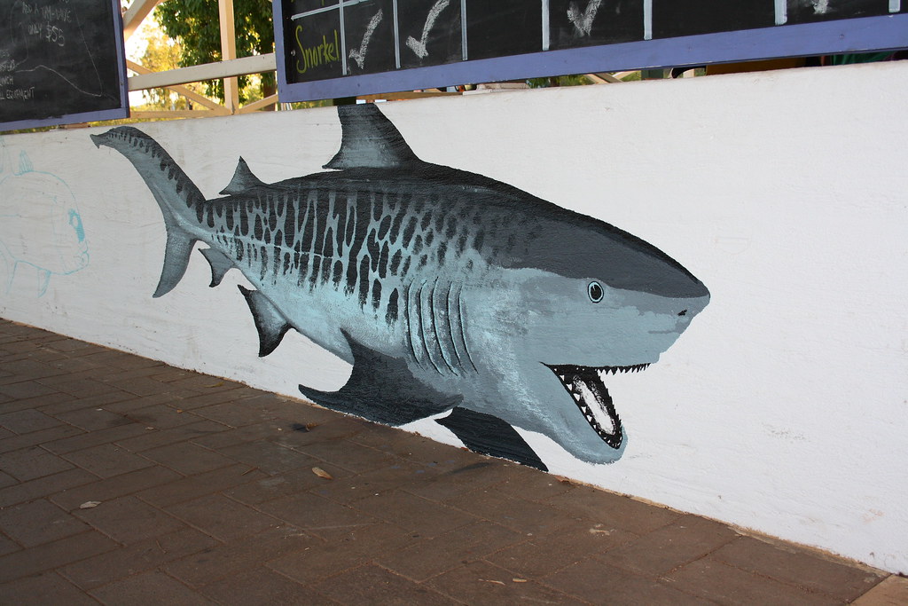 Ningaloo Reef Dreaming Mural by Mark Bell IMG9984… Flickr