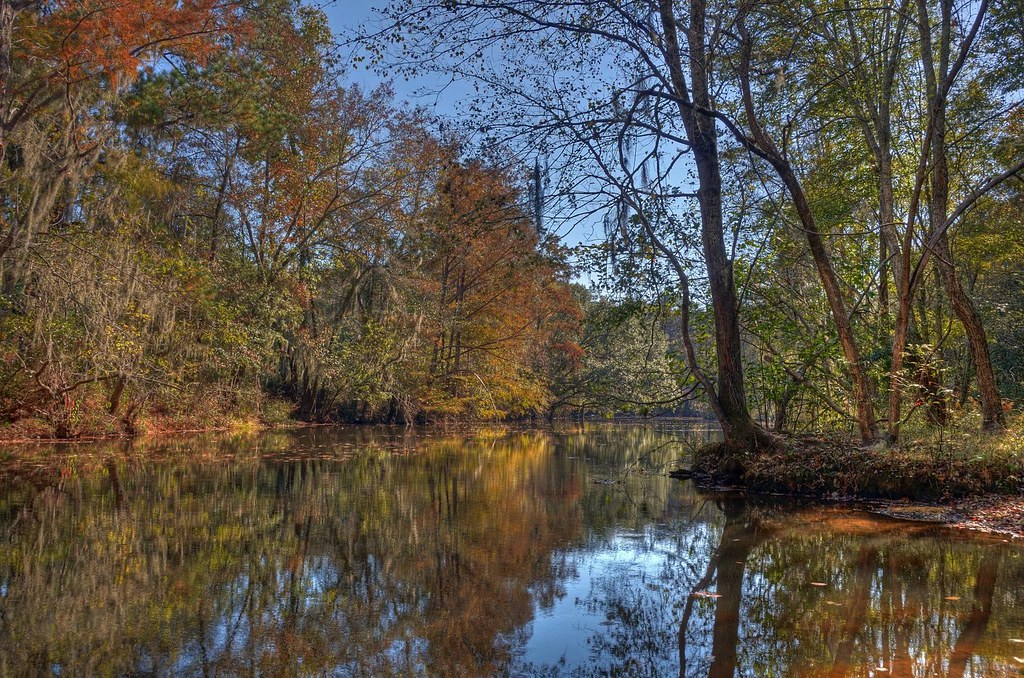 Muckalee Creek, Lee County Please press the L key.… Flickr