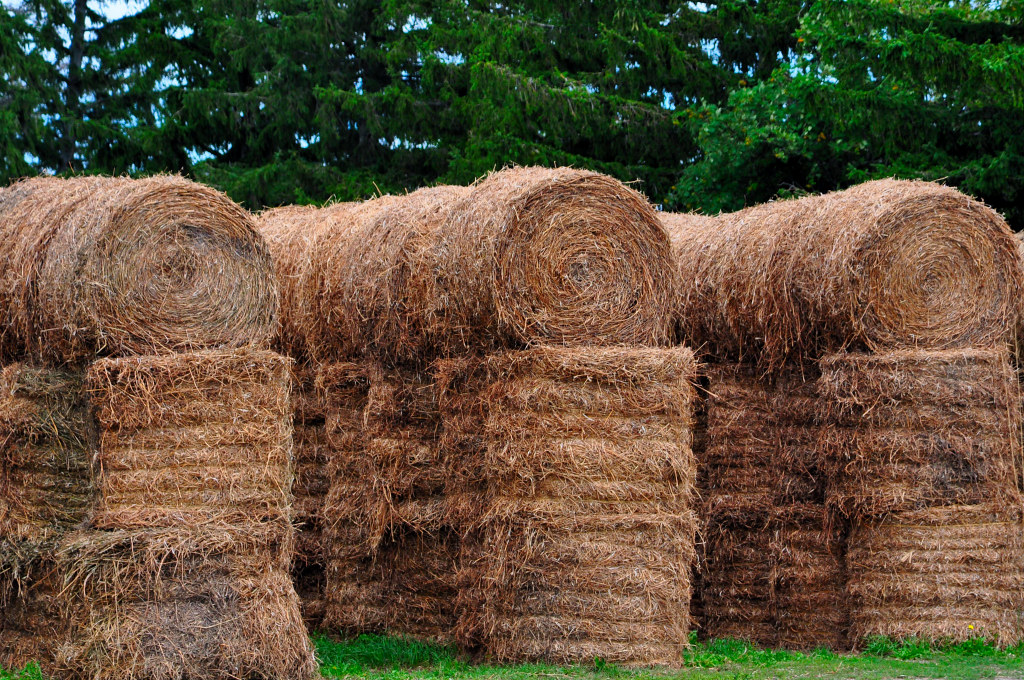 Bushels of Hay Durham Region, ON July 2010 Es.mond Flickr