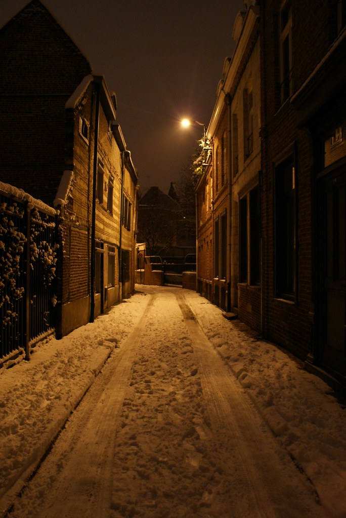 Snow in Lille G Morel Flickr