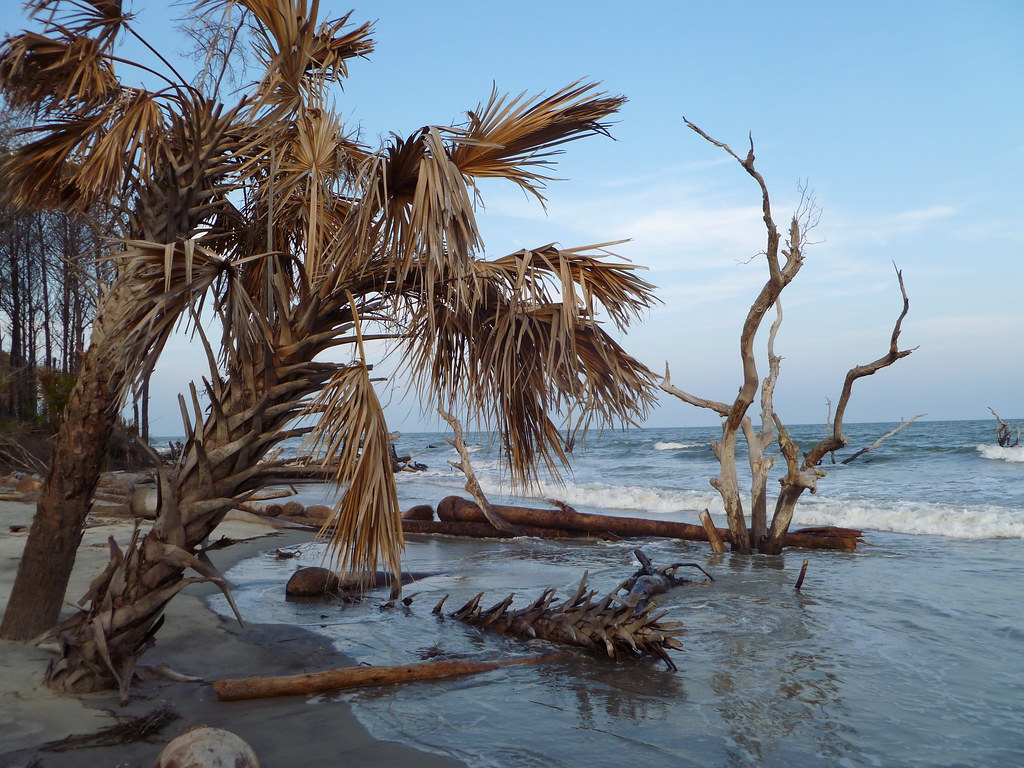 P1000295 Capers Island, South Carolina dchamp68 Flickr