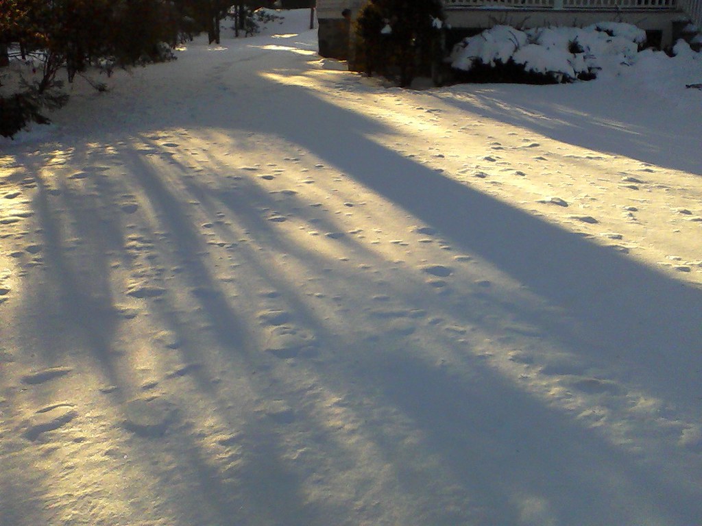 Snow at sunset, Princeton, NJ exakta Flickr