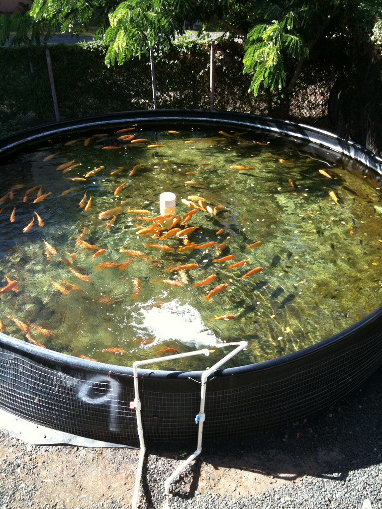 Aquaculture November's Bytemarks Lunch visit to the McKinl… Flickr