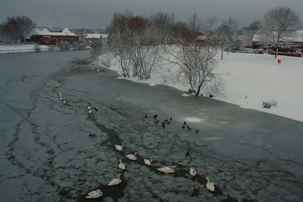 Exeter snow, 20 December 2010 Flickr
