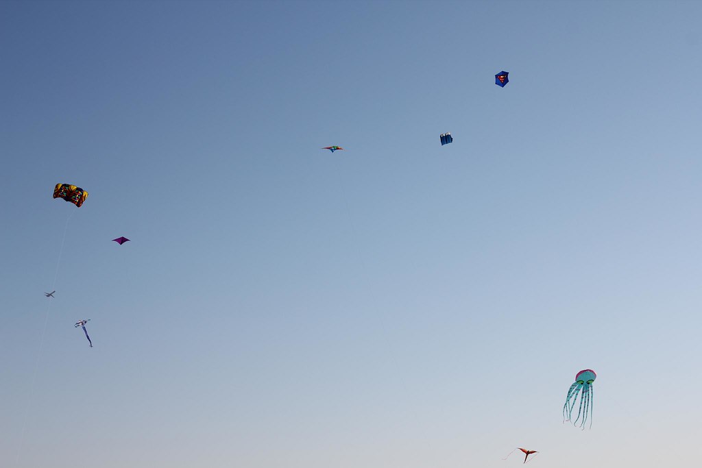 10th Annual Lake Harriet Winter Kite Festival 10th Annual … Flickr