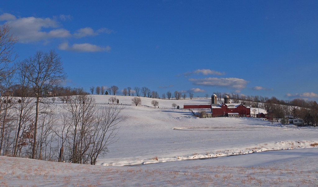 Brookview Farm Goshen, NY Steve Guttman NYC Flickr