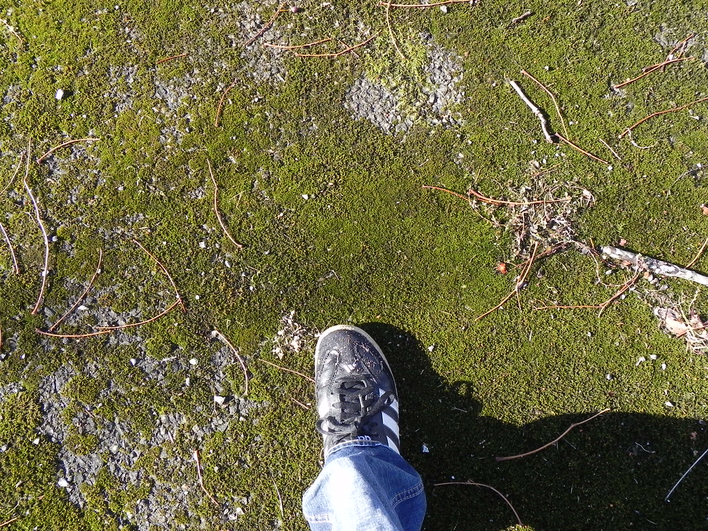 Foot Travel Wells Photo's Flickr