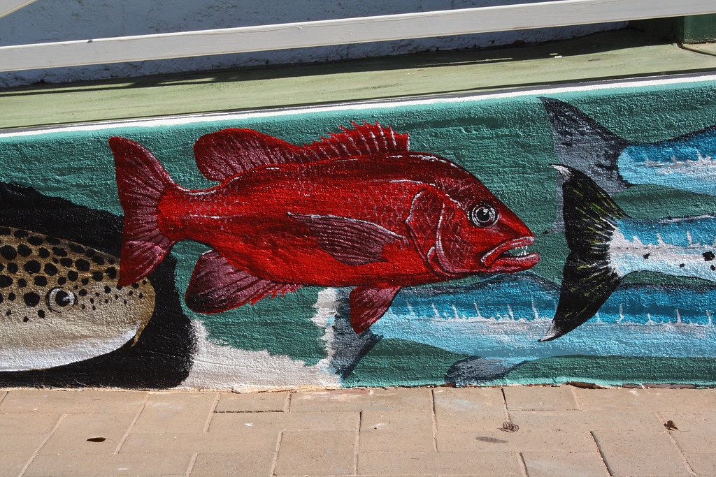 Ningaloo Reef Dreaming Mural by Mark Bell 9530 Flickr