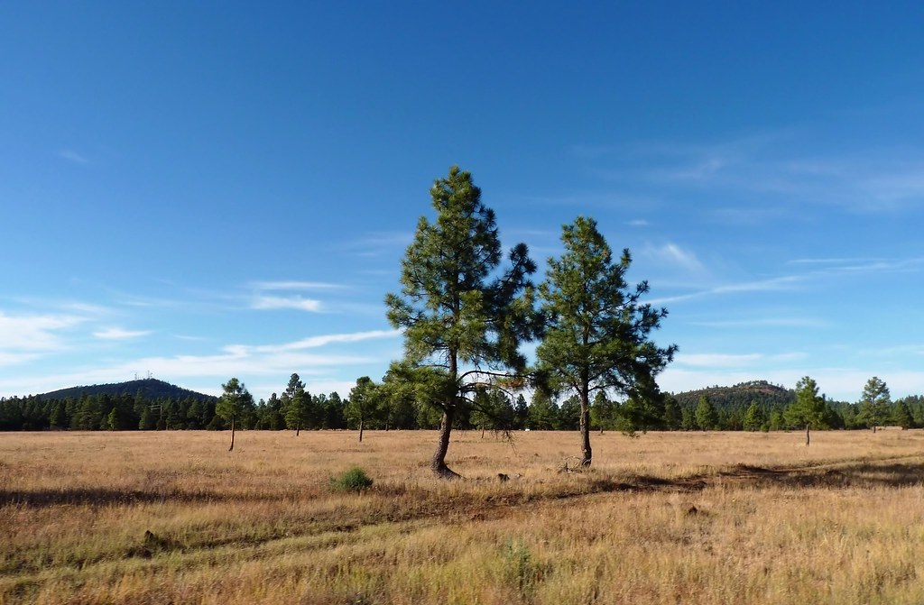 Elevation of Country Club Cir, AZ, USA Topographic Map