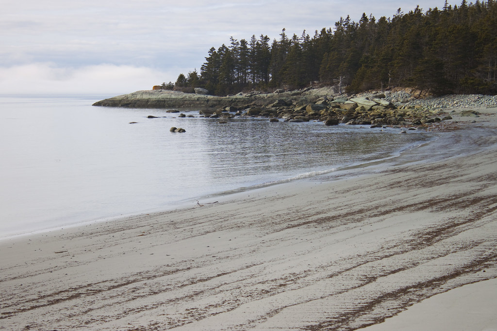 10040227 Sandy Cove beach 8553 Dan Hutt Flickr