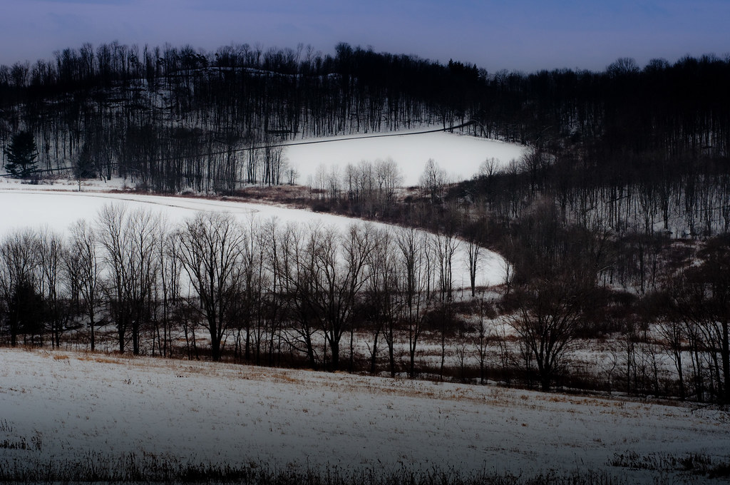Strickland's Hill Drake Hill Smitholm Farm 01.15.11 Rhonda Karg