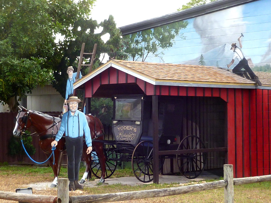 Sarasota Amish The Amish in Florida While you may know tha… Flickr