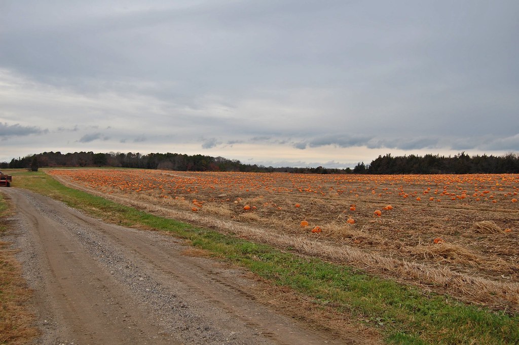 Long Island East End of Long Island Since I was ten, it's … Flickr