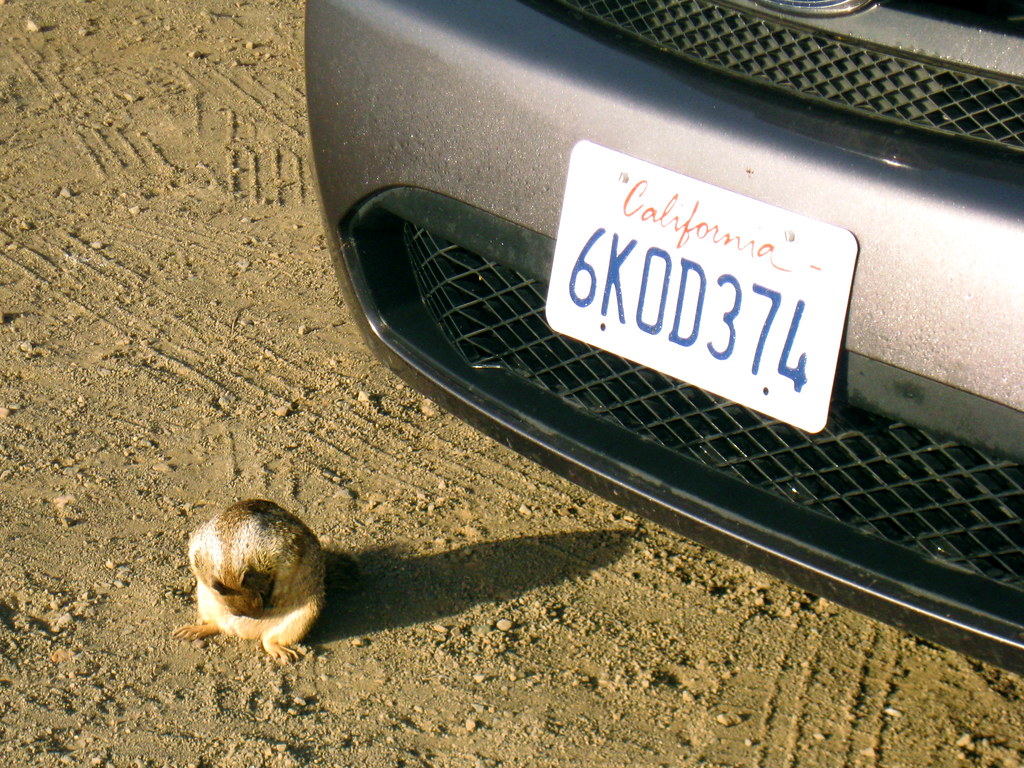 my rental car and a friend. Route 1, California. September… Flickr