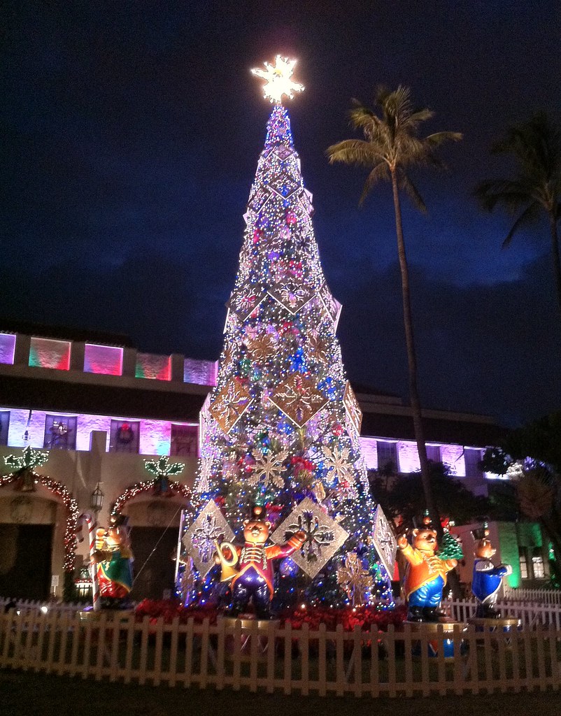 2010 City of Honolulu Christmas tree billsoPHOTO Flickr
