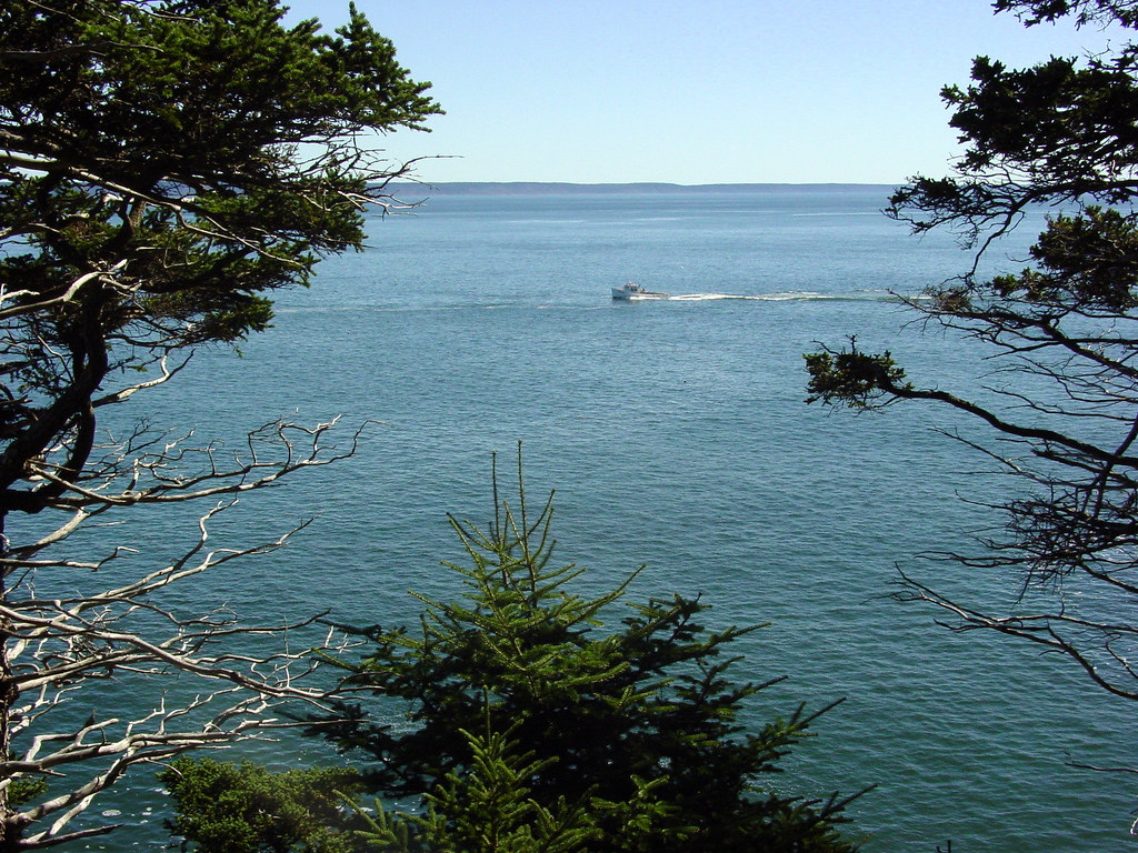 West Quoddy Head Coastal Trail West Quoddy Head trail Flickr