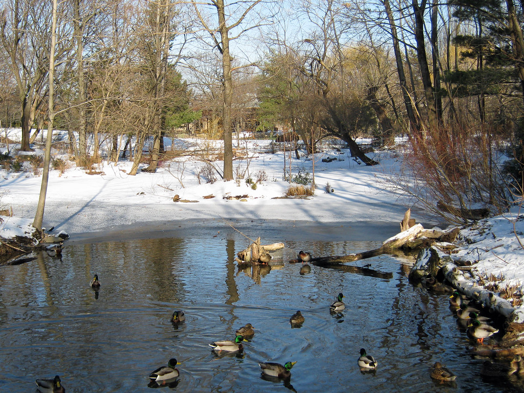 Queens Zoo, Flushing Meadows Corona Park Paul Chibeba Flickr