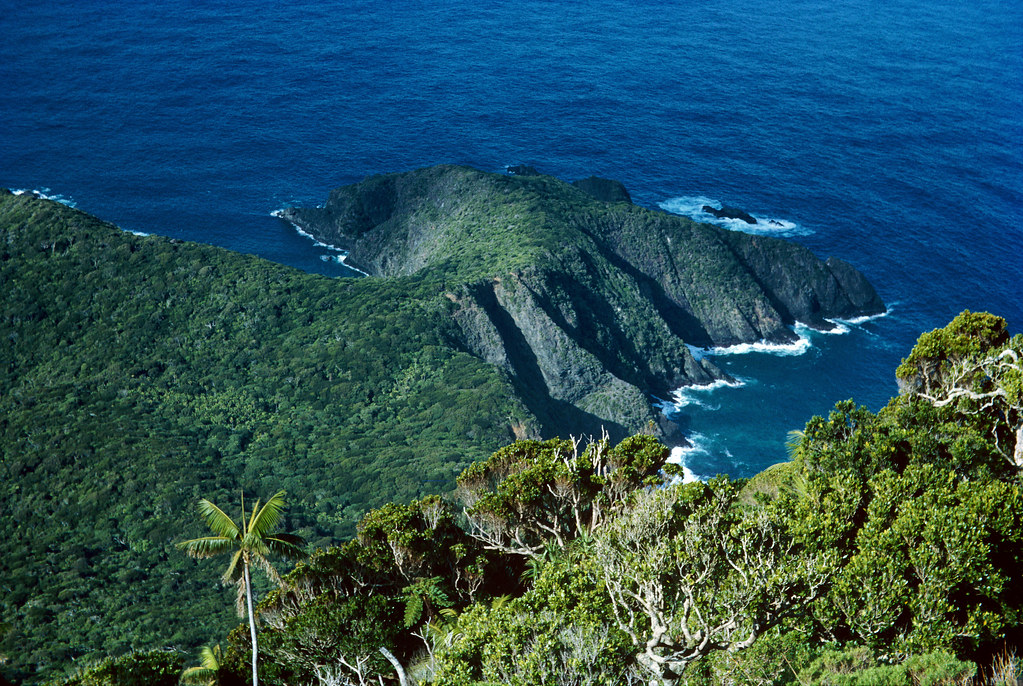 Lord Howe Island 1965, View from Goathouse View of the eas… Flickr