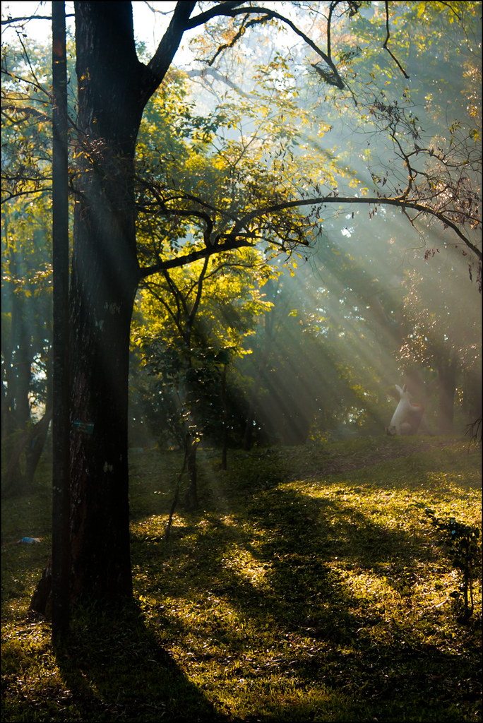Early morning Sun rays Nandi Hills MUST View On Black Th… Flickr
