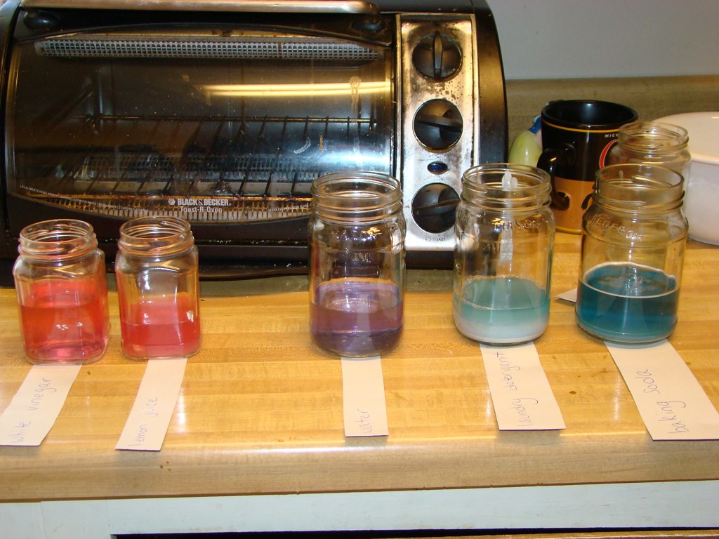 pH testing the experiment this week was pH testing. we use… Flickr