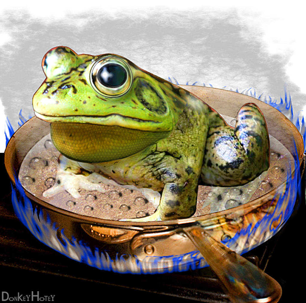 Boiling Frog Base image for Boiling Frog Studies. This stu… Flickr