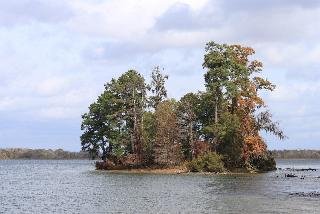 Kisatchie National Forest Kincaid Lakeshore Trail Flickr