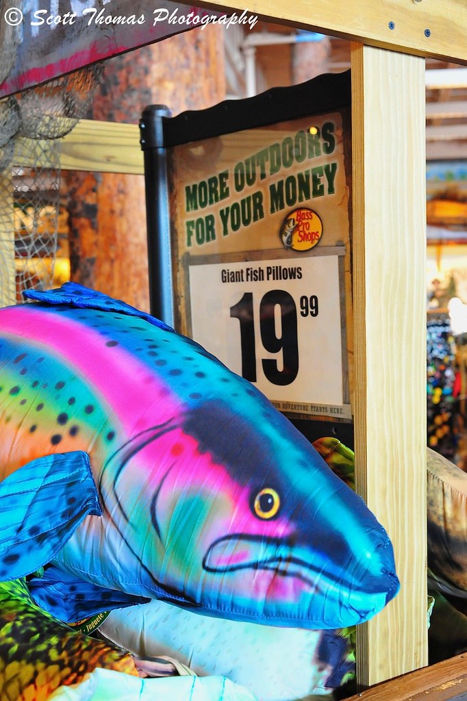 Giant Fish Pillows I bet the Misses or Misters in your lif… Flickr