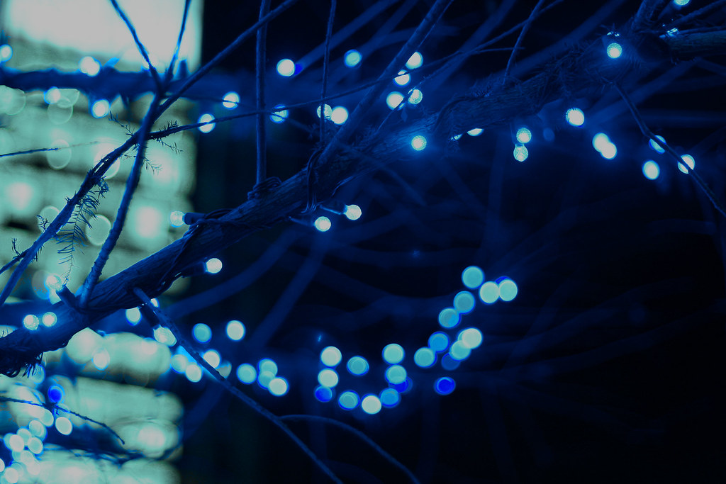 Christmas Lights Downtown Fort Worth Julee Dyer Flickr