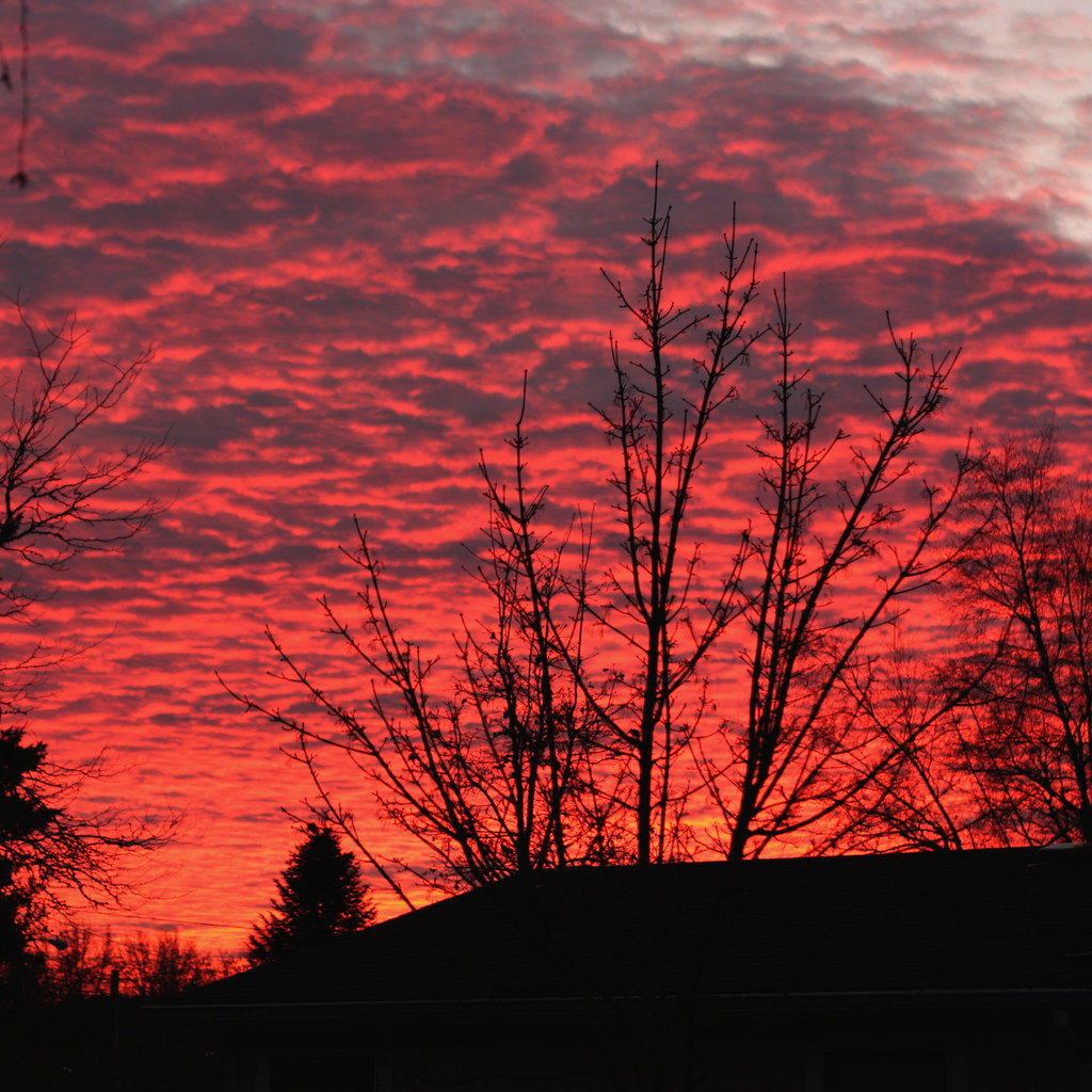 Elevation of Sunflower Ct, Cottage Grove, OR, USA Topographic Map