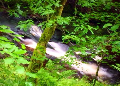 A river runs through it..... Another Kelly Burn shot . Too… Flickr