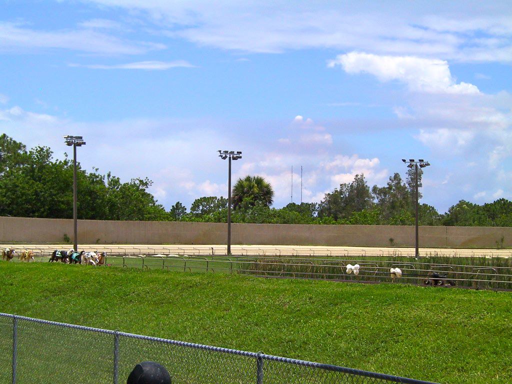 Melbourne Greyhound Park Dog Track Melbourne Greyhound Pa… Flickr