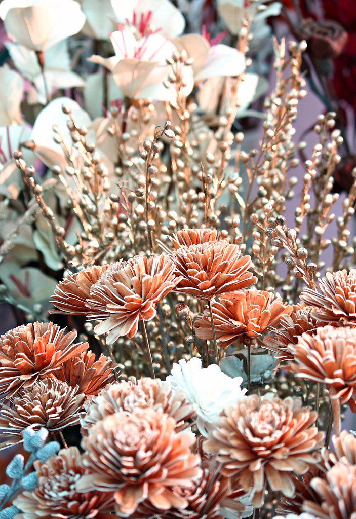 Preserved Flowers (North East) A small glimpse of the vari… Flickr