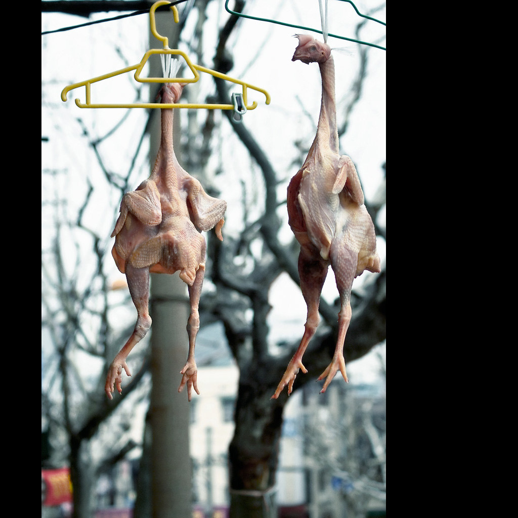 public hangings 1 being a cantonese, i am no stranger … Flickr