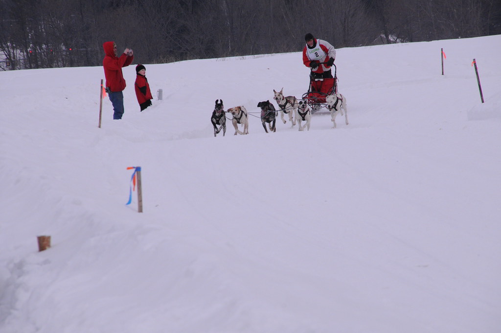 World Championship Sled Dog Derby Laconia, NH February 12,… Flickr