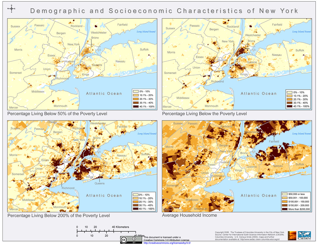 Demographic and Socioeconomic Characteristics of New York Flickr