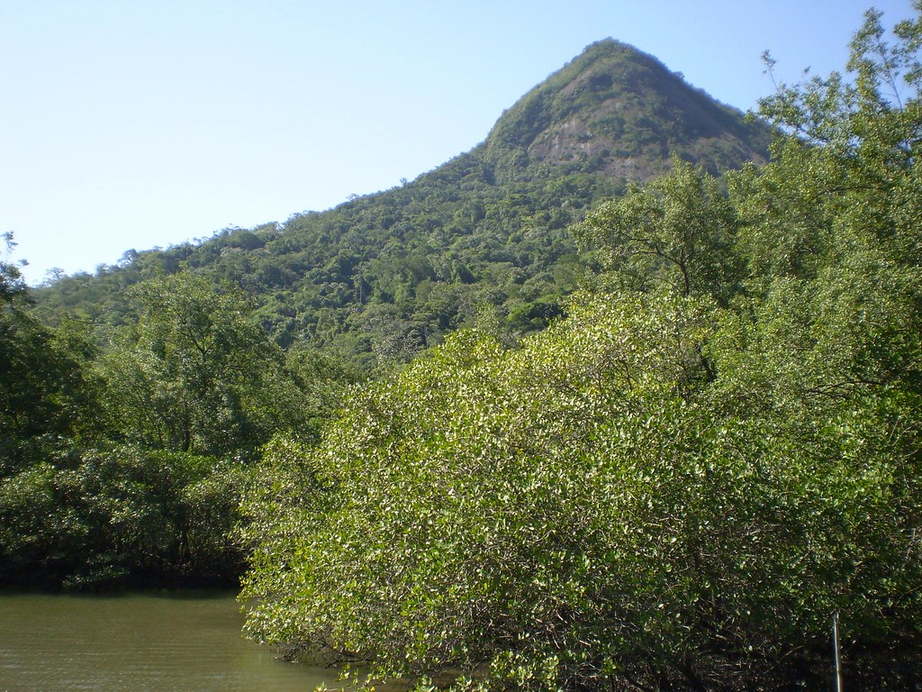 Saint HillaireLange National ParkParana StateBrazil Flickr