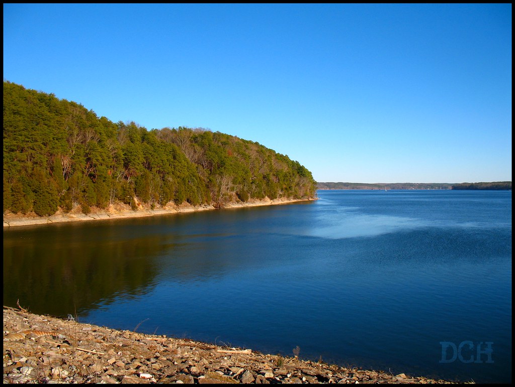 Elevation of Savannah, TN, USA Topographic Map Altitude Map