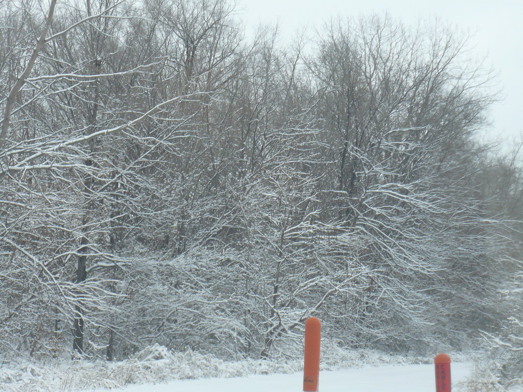 Snow following Ice Storm Laurie Flickr