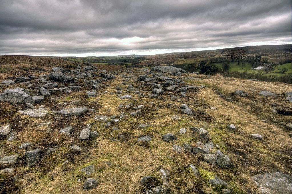 Roman Roads: New Evidence New Perspectives by Anne.
