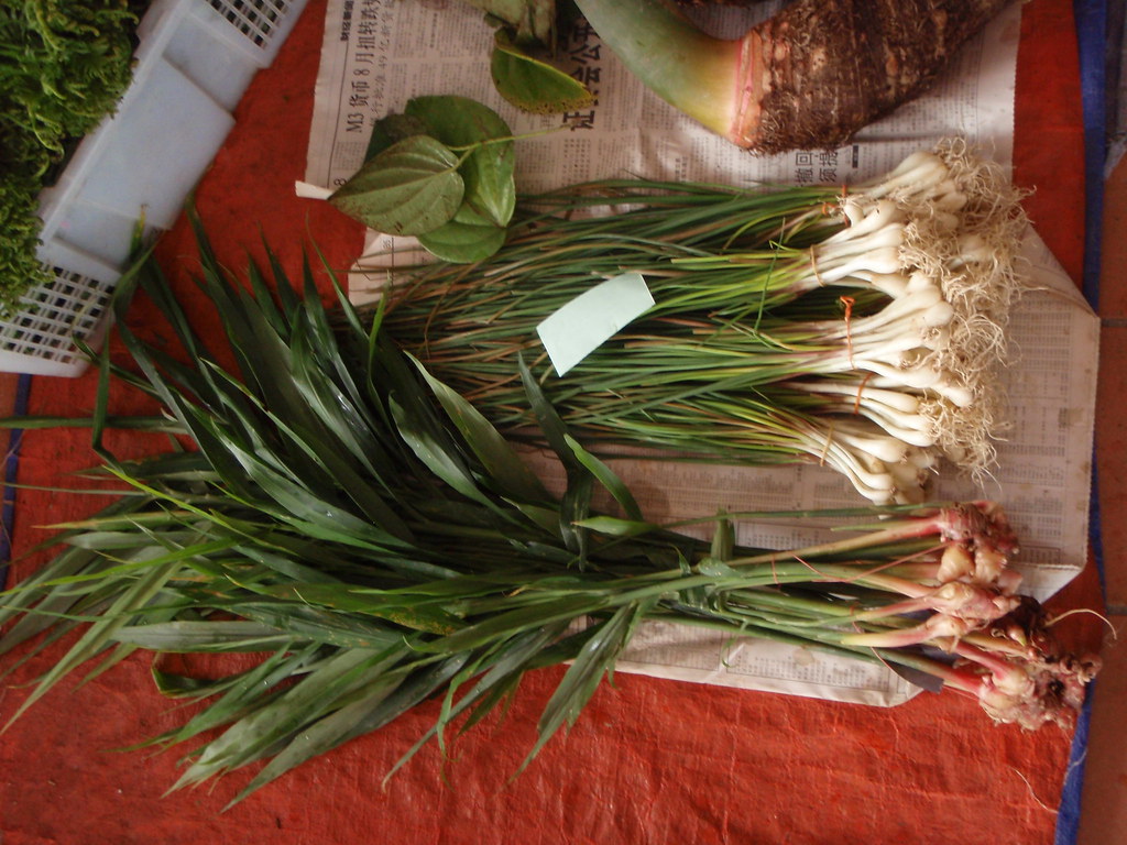 1000 Gambar Daun Halia HD Terbaru Gambar ID