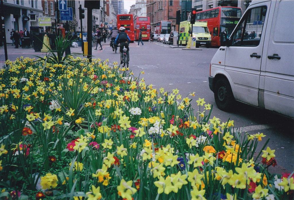 flowers in london World of Payne Flickr