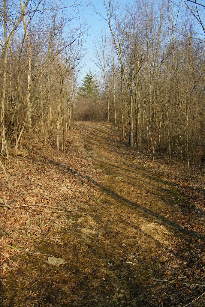 Wilderness Park (Saline, Michigan) Walk on the trails in W… Flickr