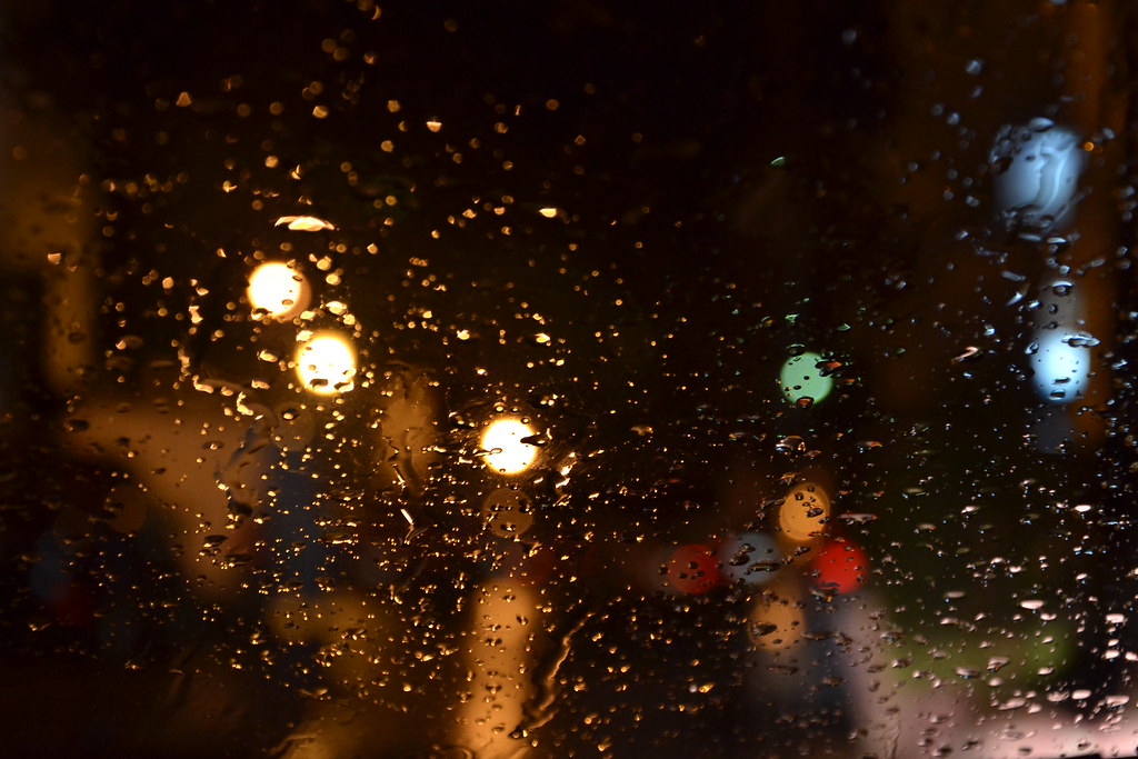 Exploring my Nikon D3100 Flickr