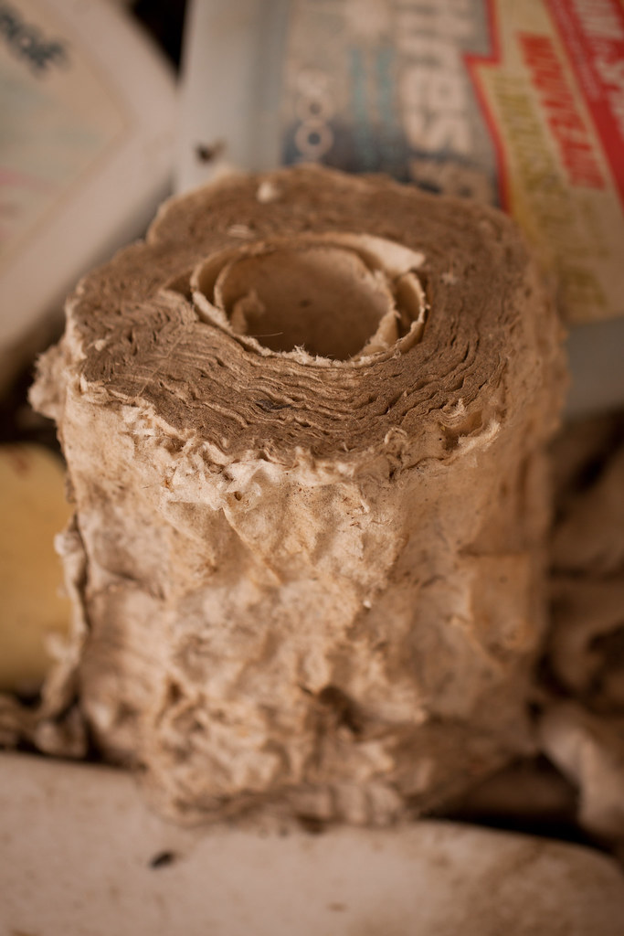 Ancient toilet paper. Well... a few decades old anyway (ac… Flickr