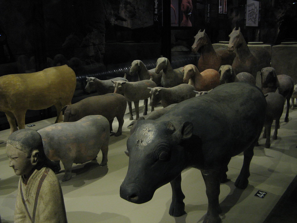 Terracotta animals Within the different terracotta armies … Flickr