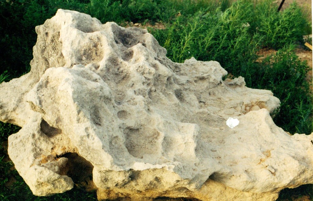 Ararat Aggregate & Quarry, Lehi Utah Landscapers, Bonsai C… Flickr