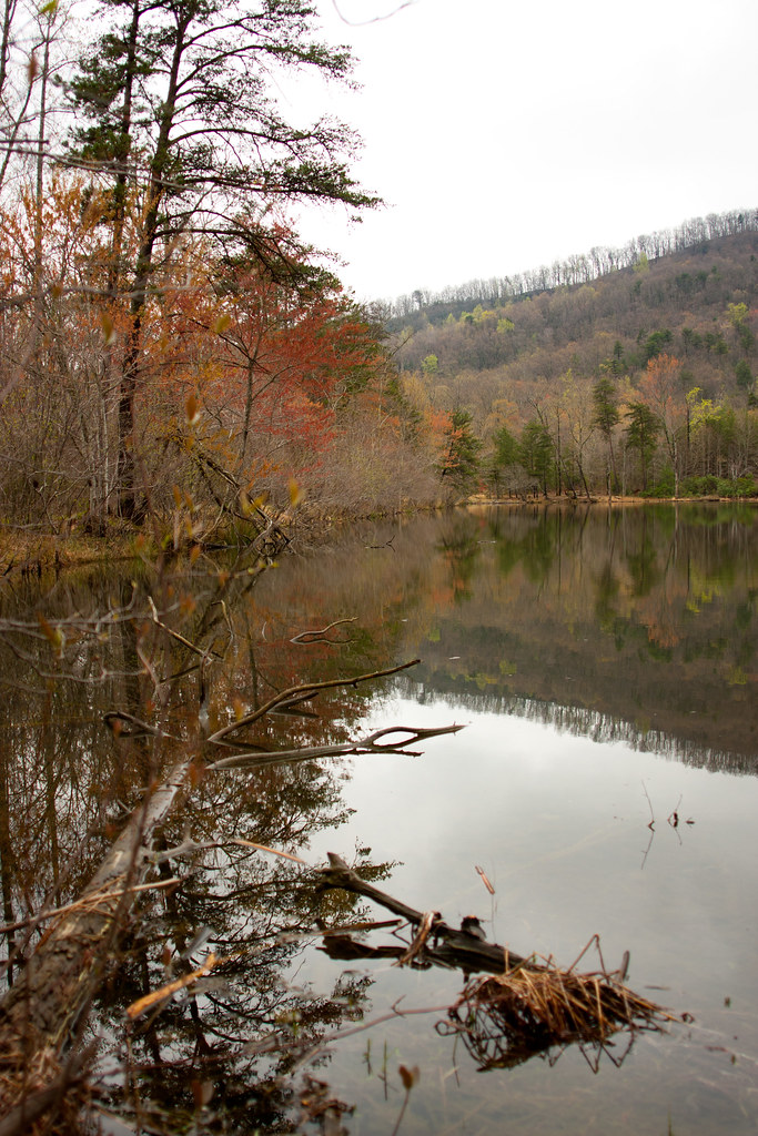 Distant Hill in Lake at Blue Wall Preserve Woody and I too… Flickr